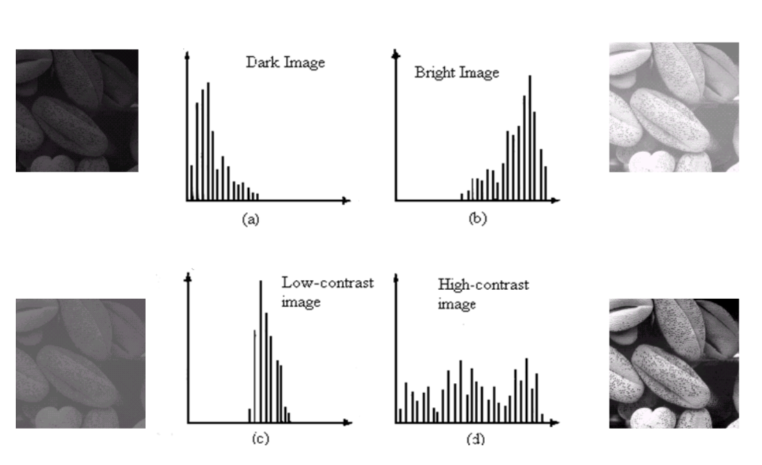 Histogram-guess